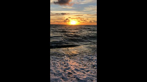 A day at the beach