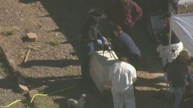 Air15 over animal abuse investigation in Mesa