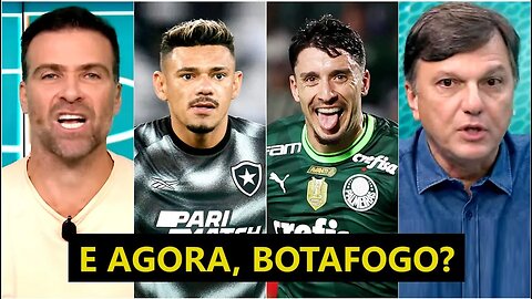 "EU ACHO ISSO UMA LOUCURA! O Botafogo pra mim..." PRESSÃO no LÍDER e CAÇA do Palmeiras GERAM DEBATE!