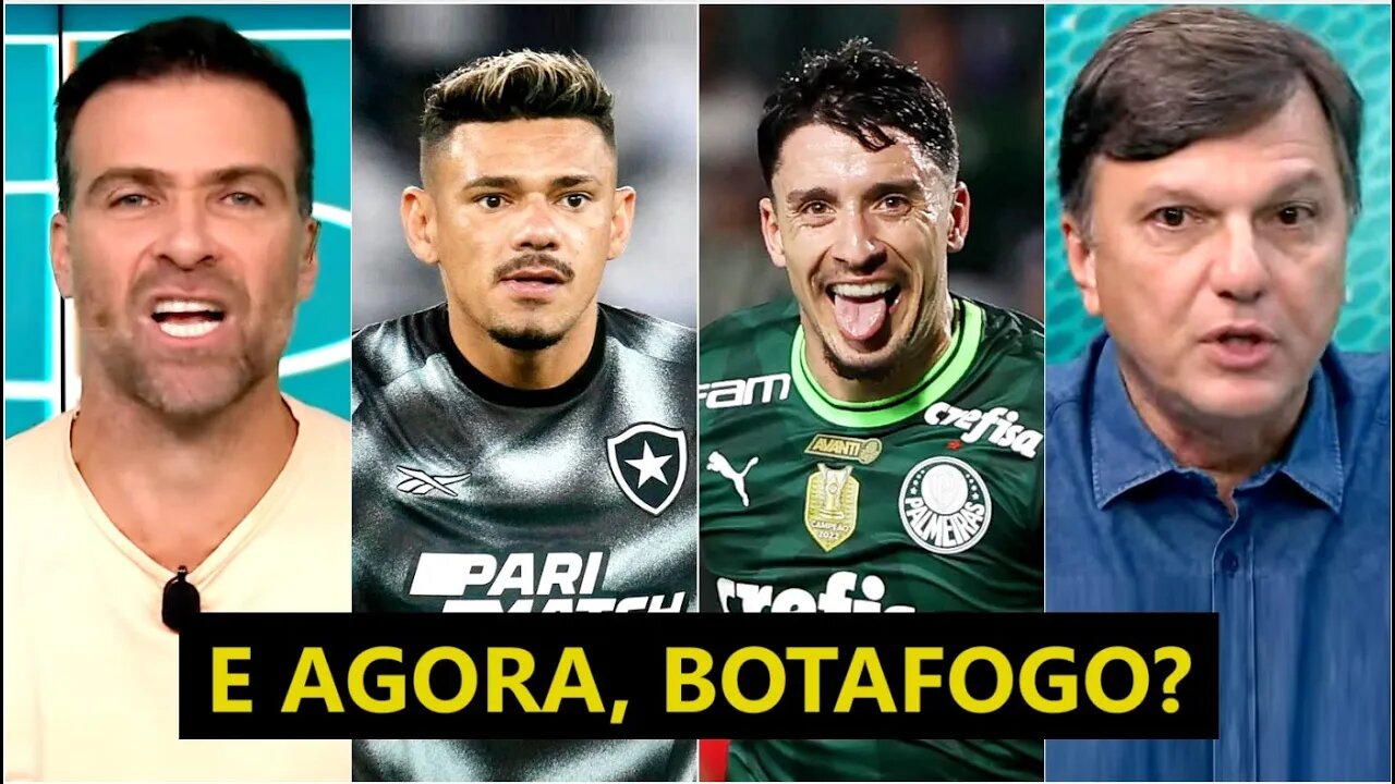 "EU ACHO ISSO UMA LOUCURA! O Botafogo pra mim..." PRESSÃO no LÍDER e CAÇA do Palmeiras GERAM DEBATE!