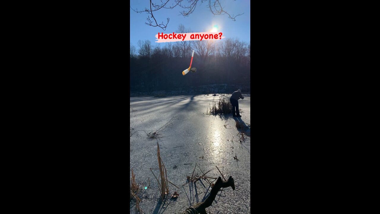 Would YOU? Frozen Beauty