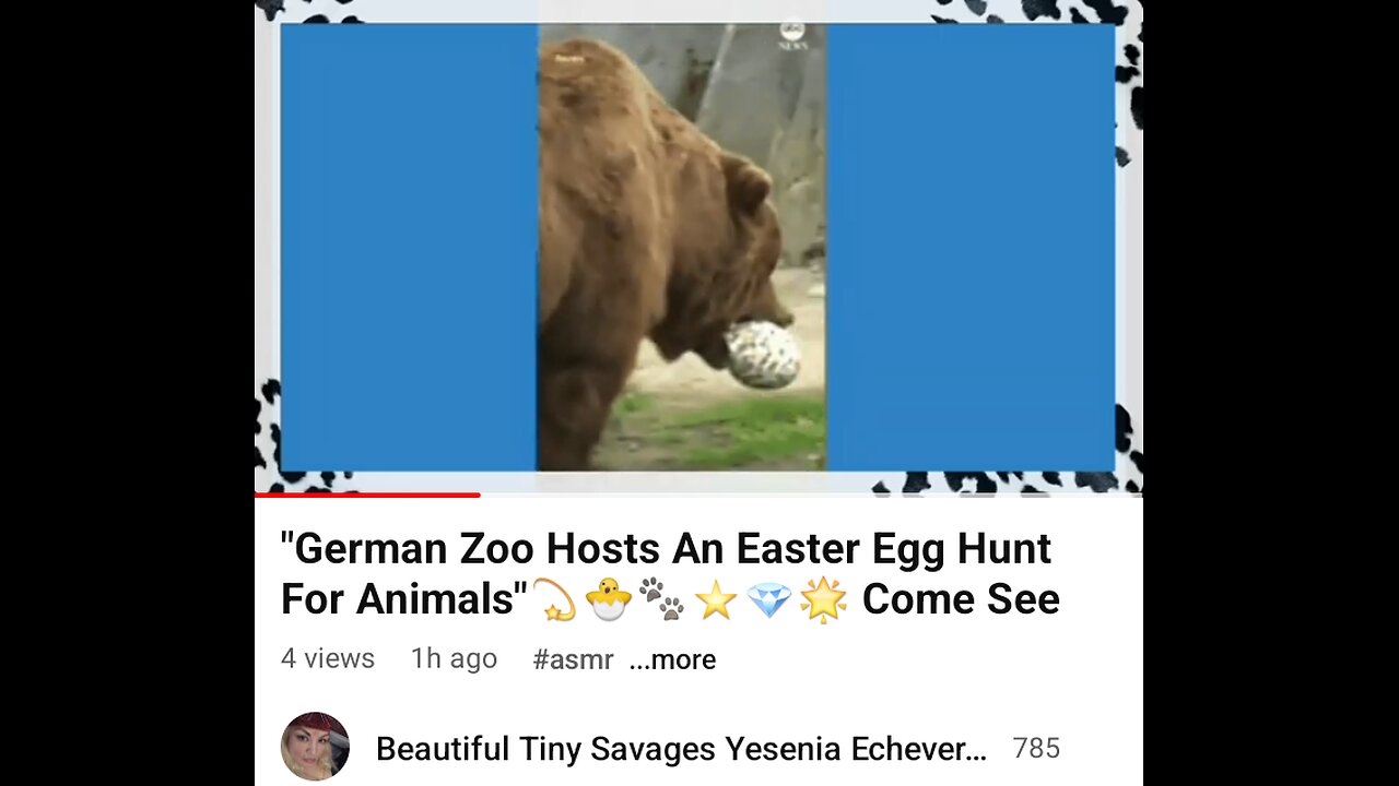 "German Zoo Hosts An Easter Egg Hunt For Animals Full Video 🐣🐰💫🎶🎼