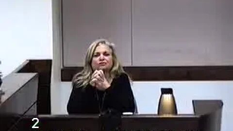 Susan Donohue matter before Clark County Family Court Judge Cheryl Moss 11/15/17