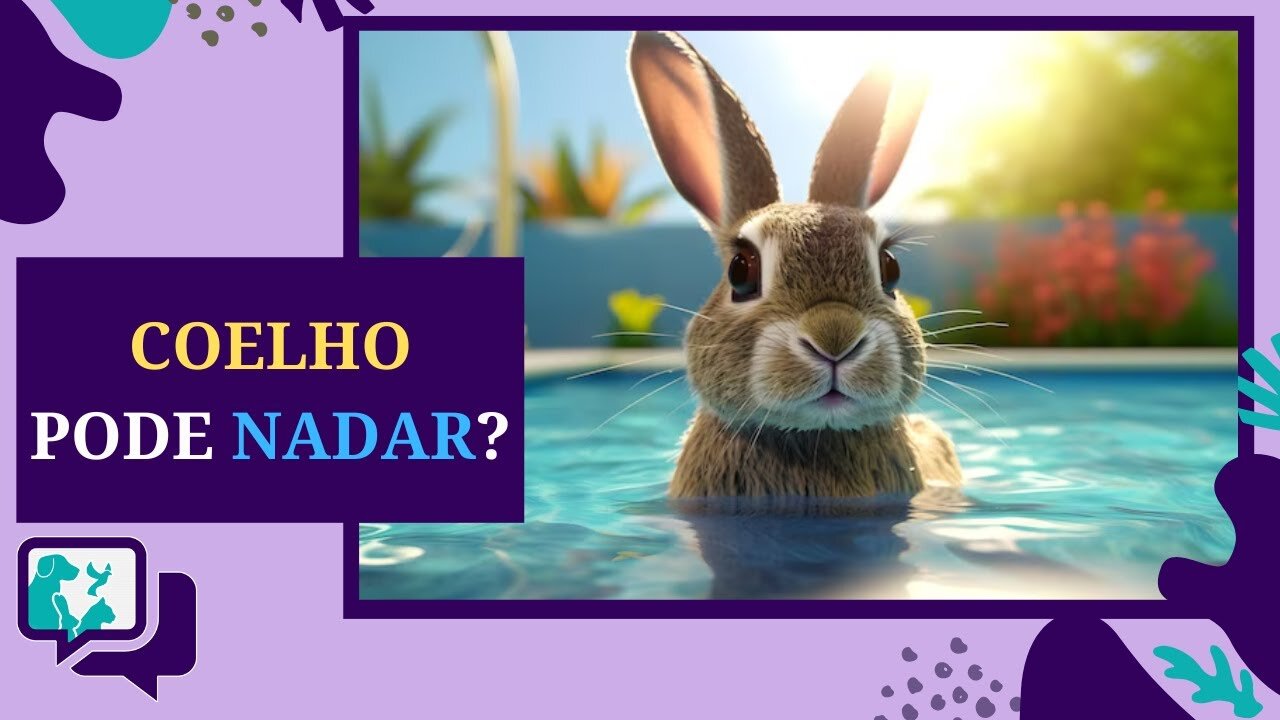 🐰🏊‍♂️ Coelhos Sabem e Podem Nadar?