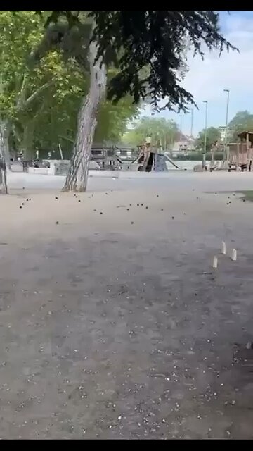 WARNING- The Dangers of unvetted Illegal Alien groups targetting children in France