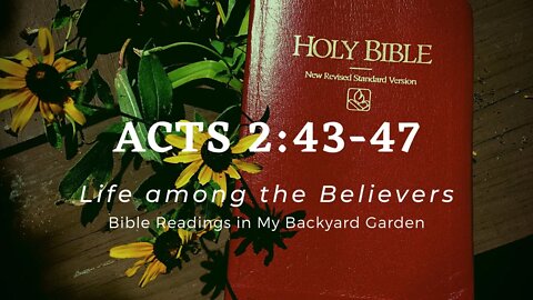 ACTS 2:43-47 (Life among the Believers)