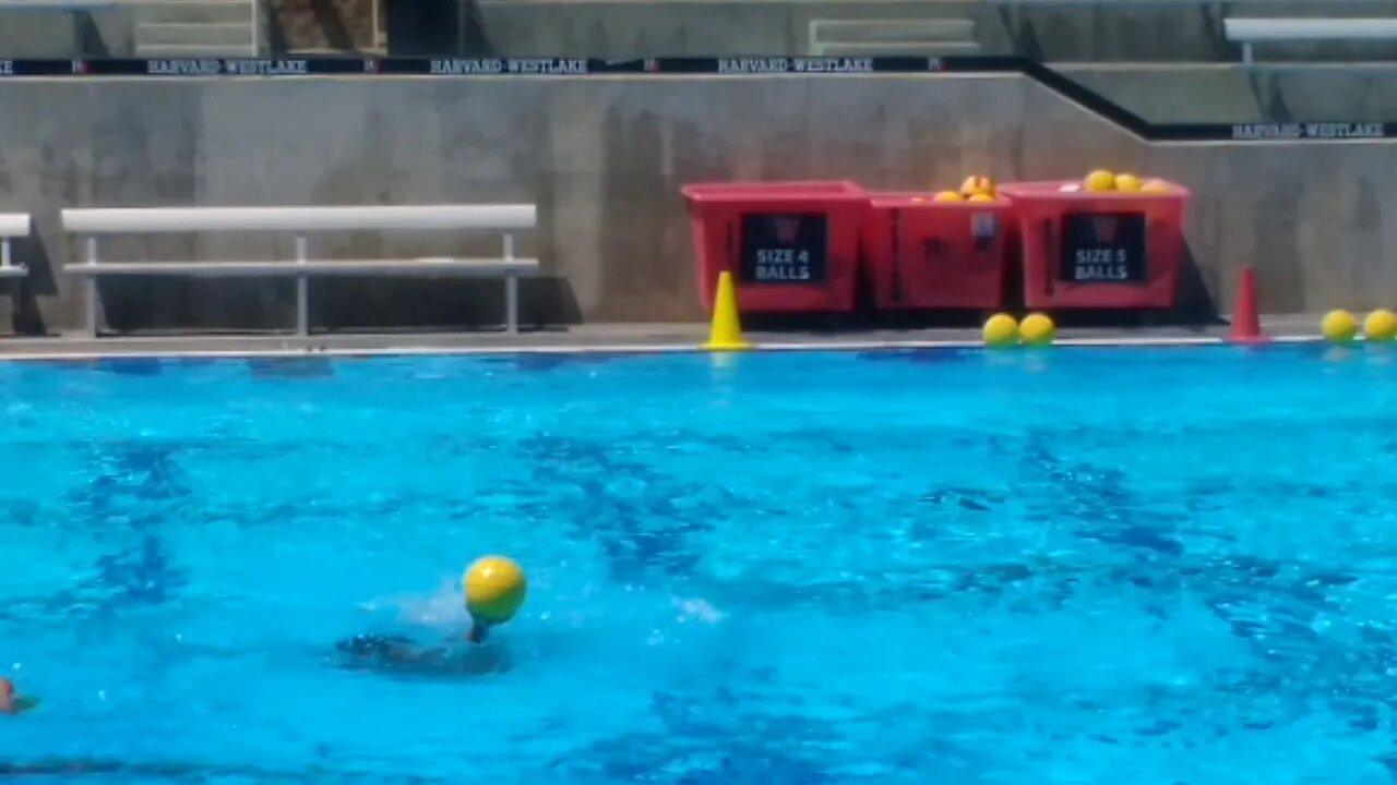 Water Polo Technology and Skills Clinic