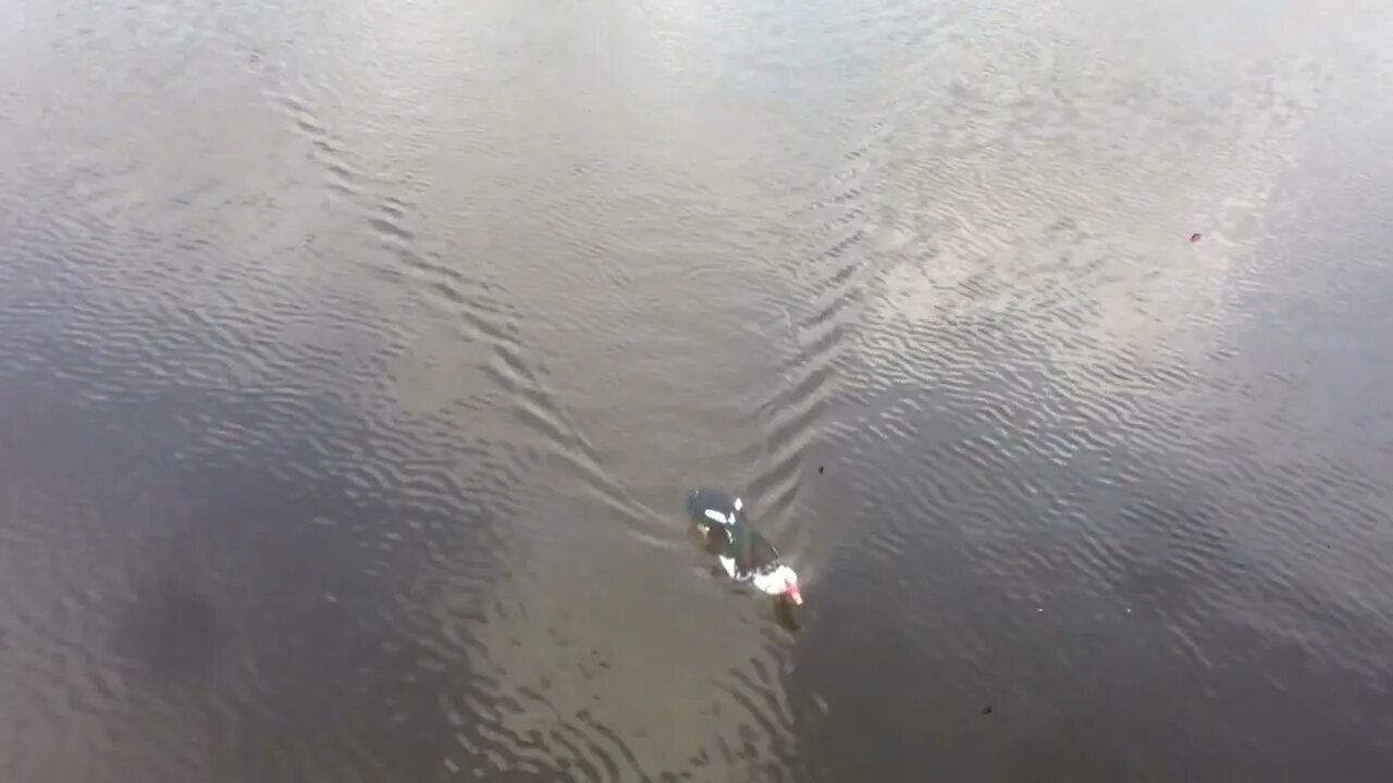 At the Pier of the Lake Thermi at Thermis Dam (P2)