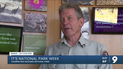 National Park Week: Spreading awareness about Saguaro National Park