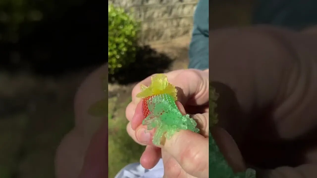 2022 trending shorts video for Entertain Your Mood #shorts #trending #viral #youtube #blackshorts