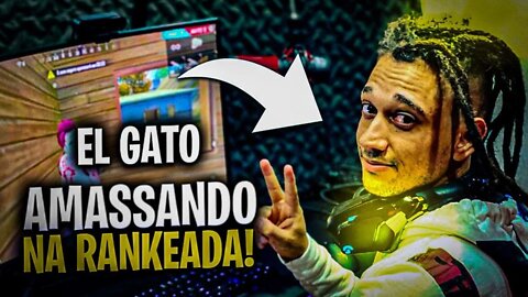 EL GATO AMASSANDO NA RANQUEADA - FREE FIRE