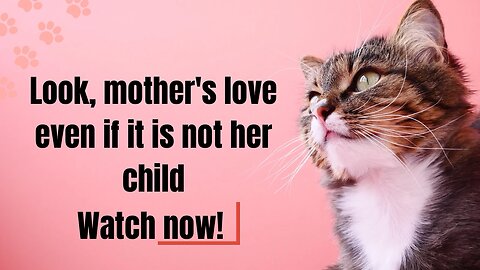 Although mother is in the animal world