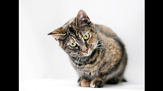 A message from Sheila