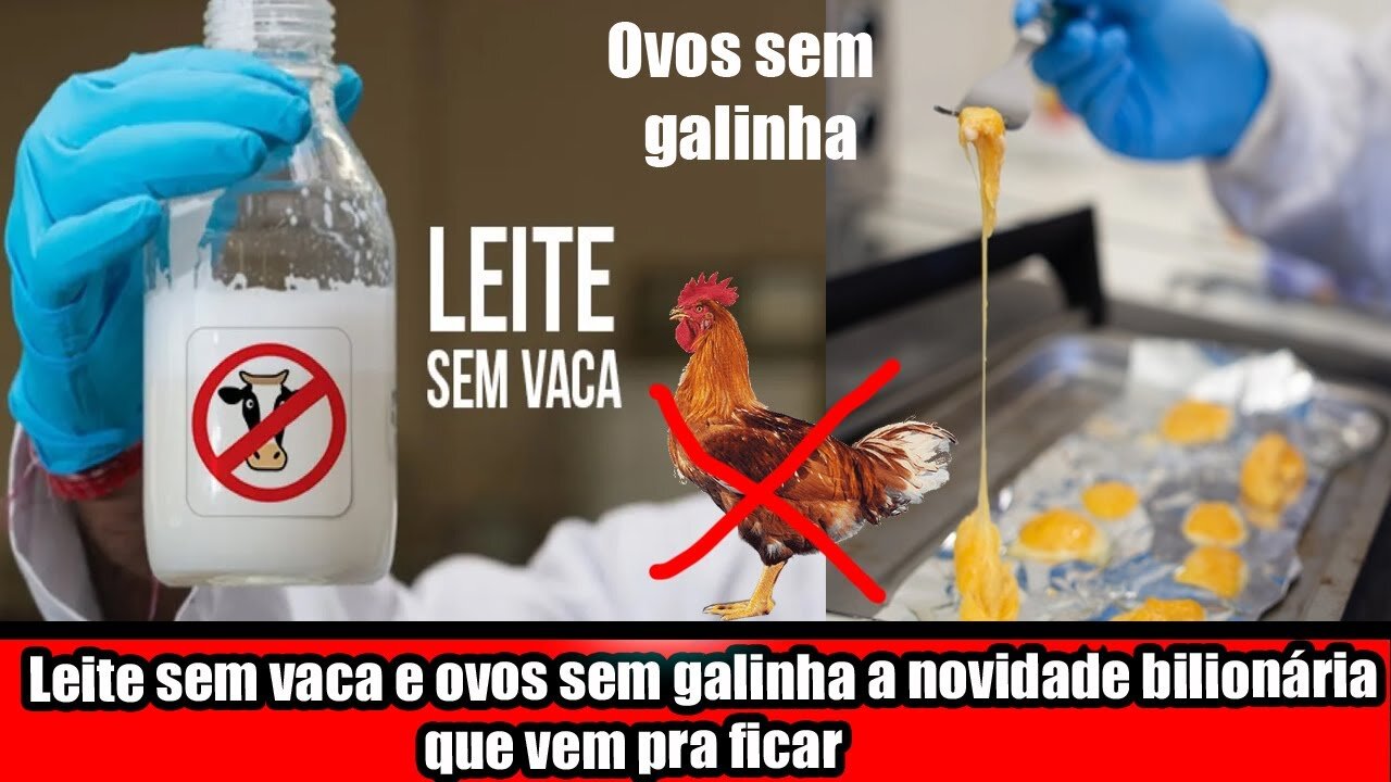 Leite sem vaca e ovos sem galinha a novidade bilionária que vem pra ficar