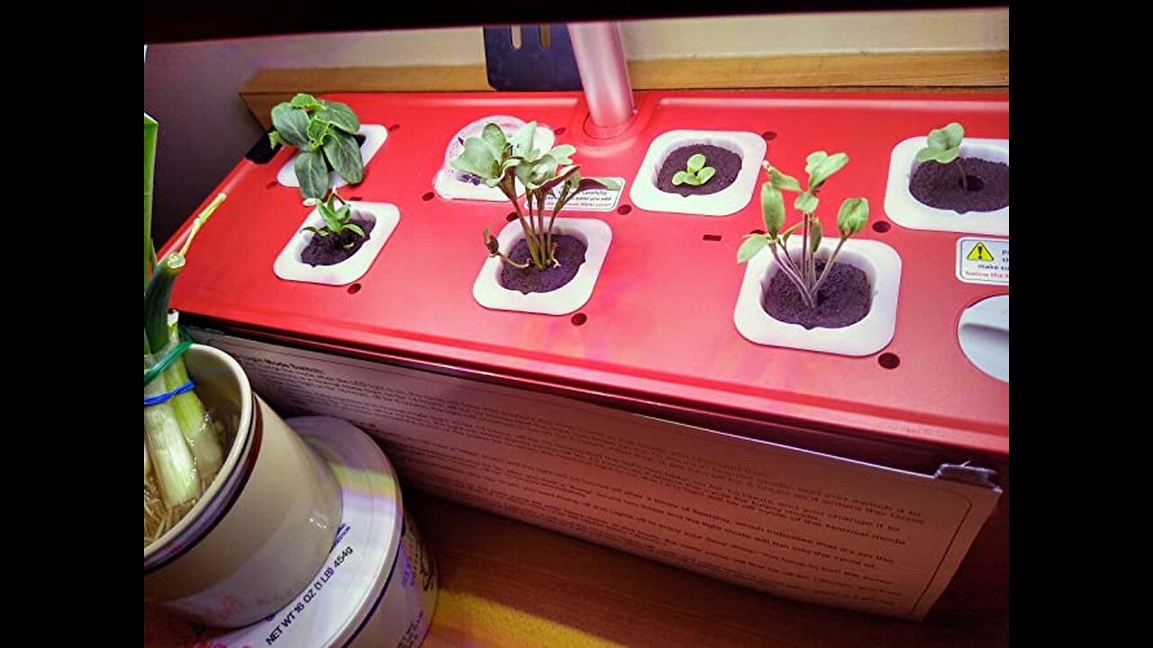 iDOO Hydroponics Growing System, Indoor Garden Starter Kit with LED Grow Light, Automatic Timer...