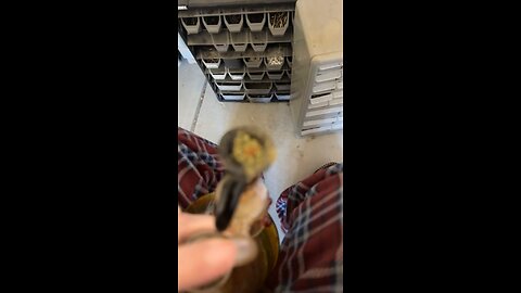 Day 30 Propane Money