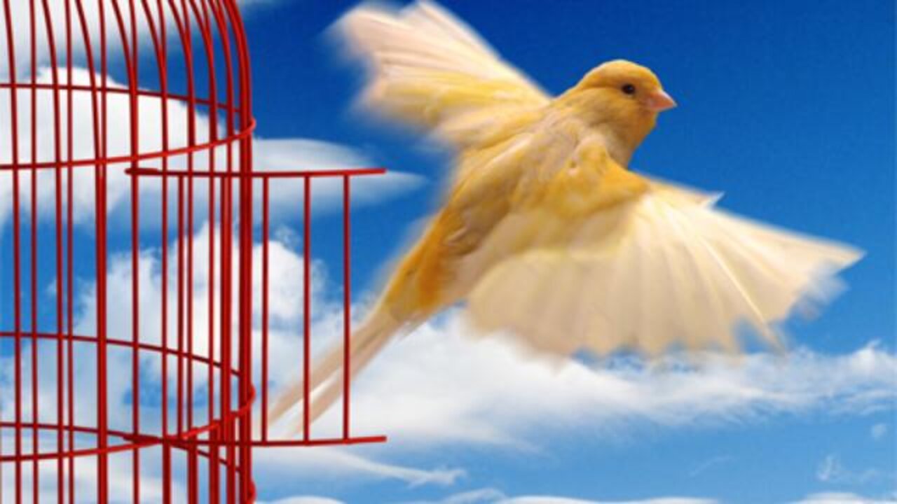 And Mother Goes Free