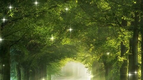 Stress Relief, Relaxing Sleep Music