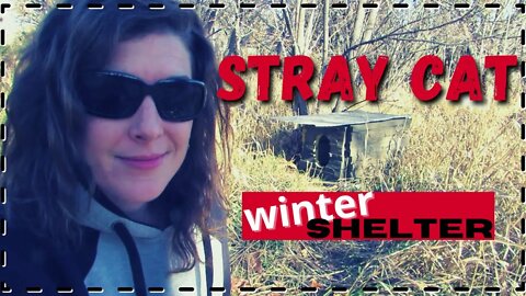 Insulated Shelter for Stray Cats | Help keep our feline friends safe this winter!