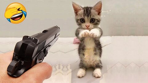 New Funny Videos 2022 😍 Cutest Cats and Dogs 🐱🐶 Part