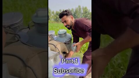 Part.1 Dhodh Ki Chori Khizar Omer Funny Video #comedy #funny #khizaromer #comedyshorts #video #short