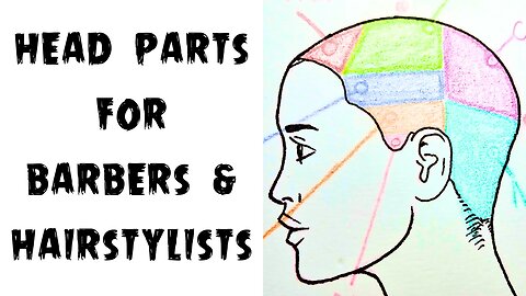 Head Parts for Barbers and Hairstylists