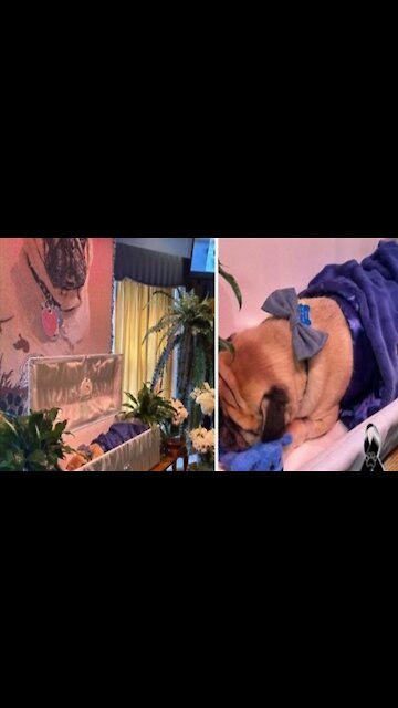 Man holds funeral to say goodbye and honor his beloved dog