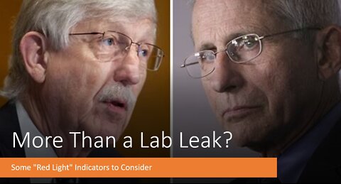 More Than a Lab Leak