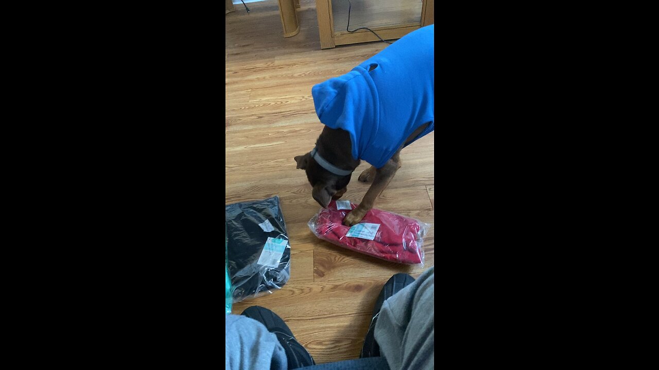 Picking out the new hoodie
