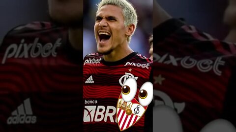 Pedro Atacante do Flamengo pode estar indo para o Sevilla #shorts