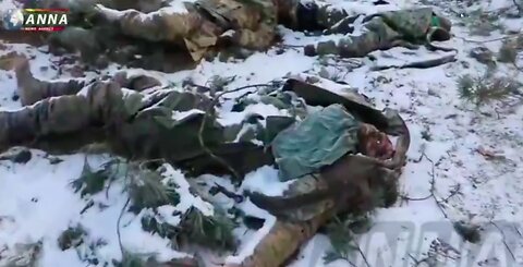 UKRAINIANS SIMPLY LEFT THEIR DEAD BEHIND