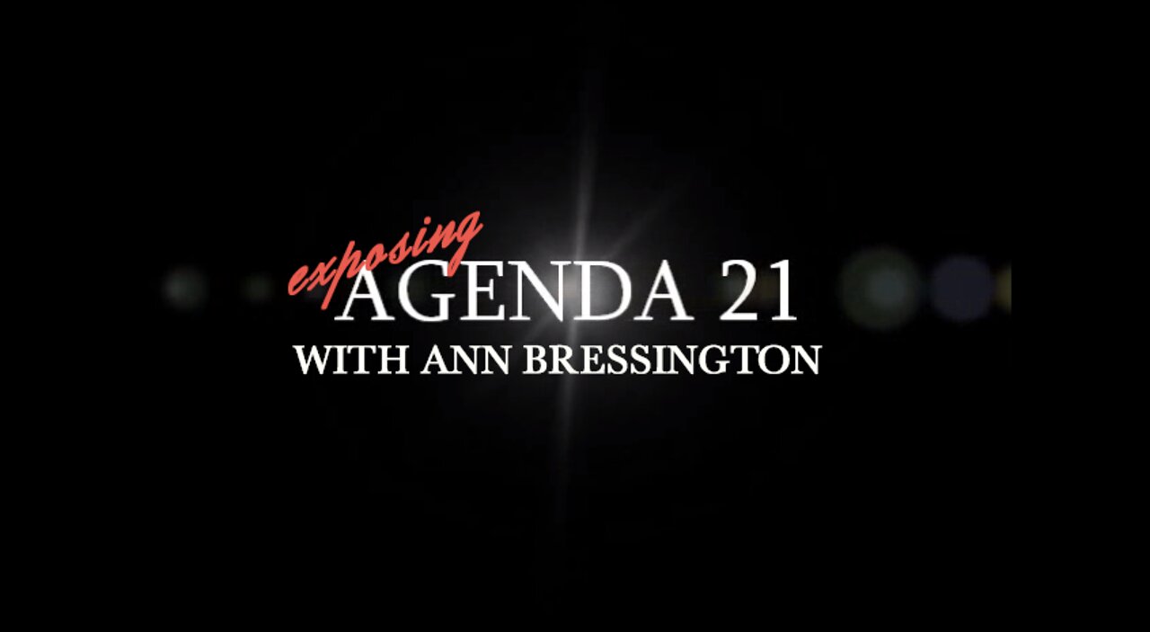 Ann Bressington Exposes Agenda 21, Agenda 30, The Great Reset.