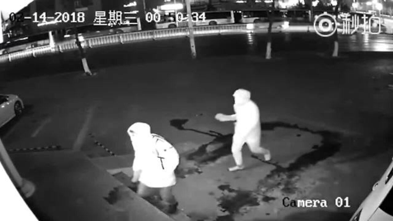 Inglorious Burglars Caught Red-Handed On Security Camera
