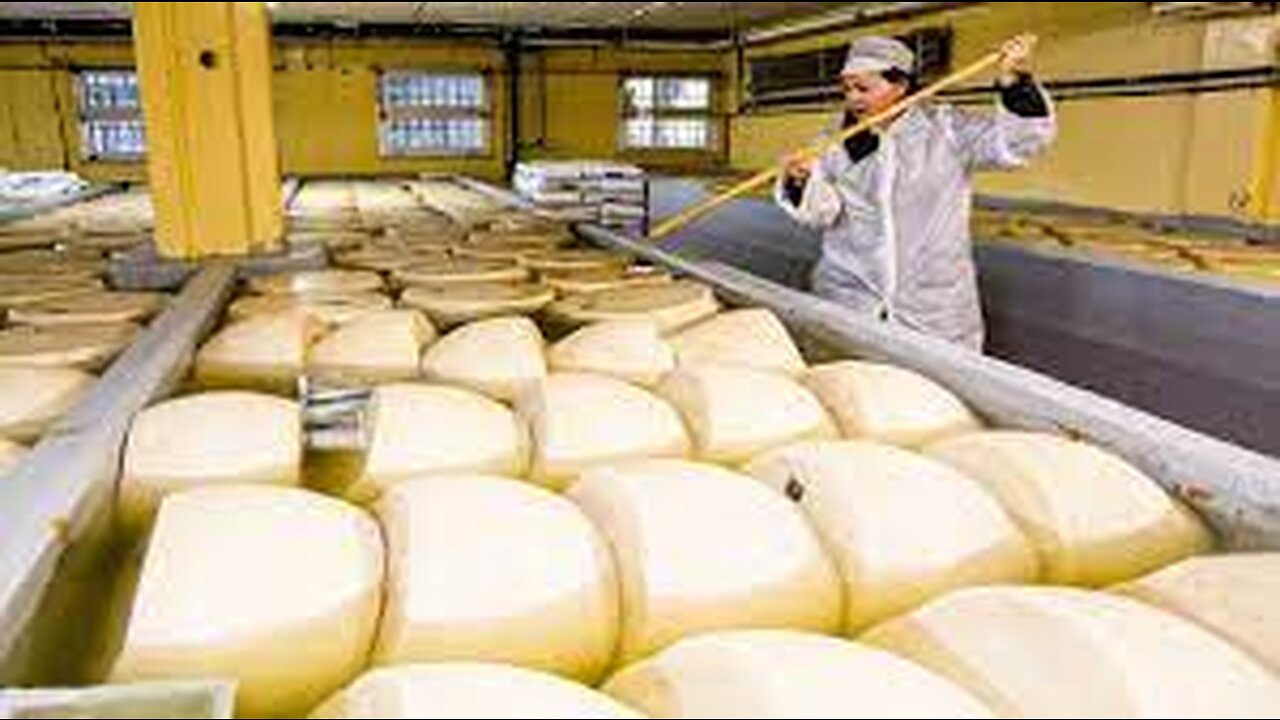 How Italian Parmesan Wheel of Cheese Is Made - King of Cheese 1000$ per Wheel Making in Factory