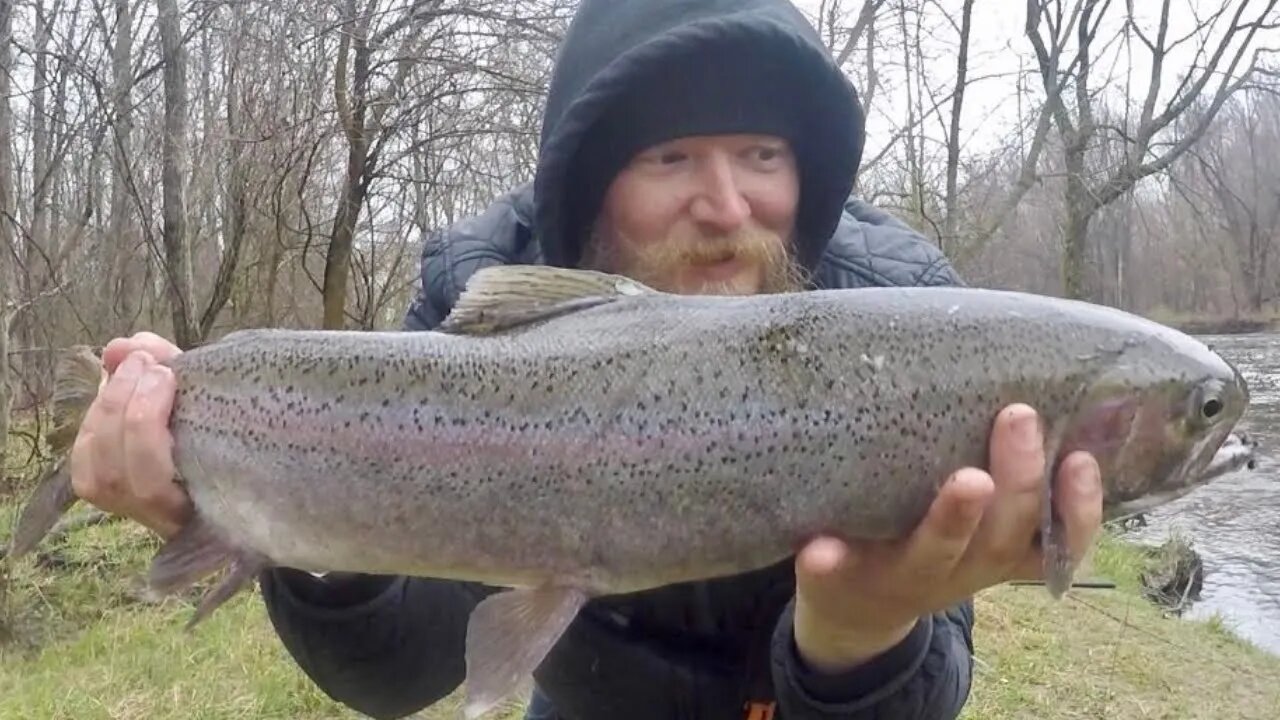 Epic close up Steelhead Bobber Down!! Acrobatic Steelhead Jumps On The Bank! Steelhead Float Fishing