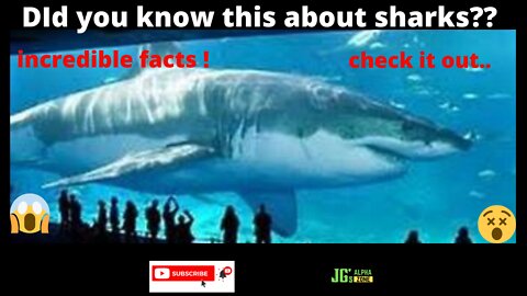 Amazing fun facts about sharks !