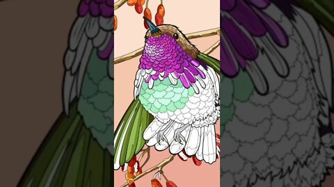 Here is a bird
