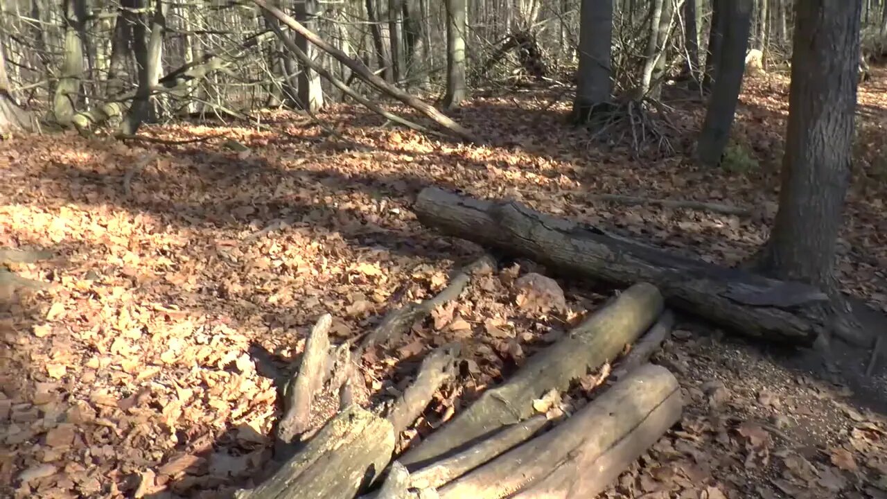 Hiking The Emily Tract. Kawartha Lakes Ontario.