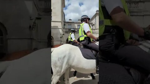 met police horses moving through #horseguardsparade