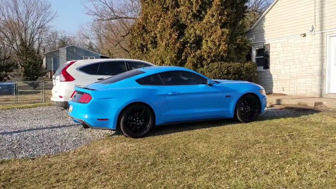 American Muscle Mustangs - 2008 & 2017