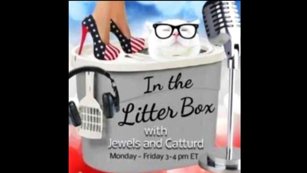 More Classified Documents Found - In the Litter Box w/ Jewels & Catturd