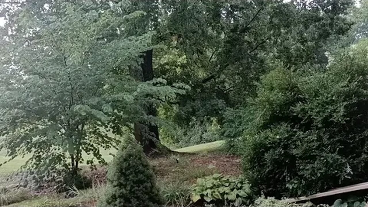 REAL Southern homestead thunderstorm ASMR