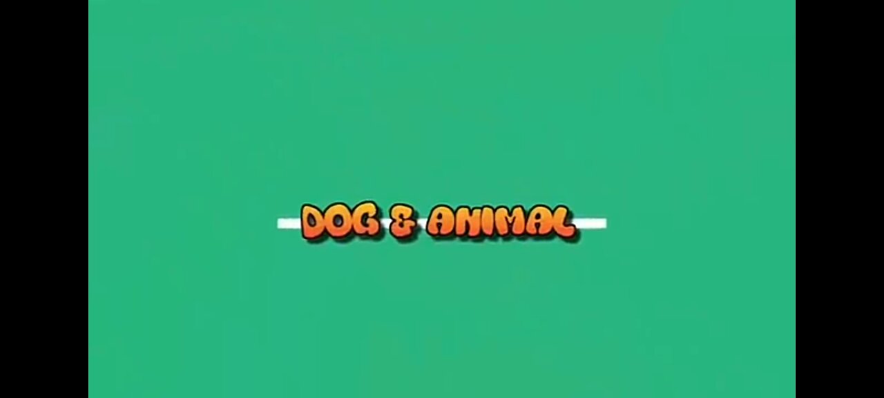 Fanny animal dogs video