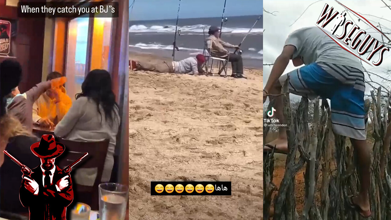 Daily crazy and funny video compilation found on X-Twitter 115 #funnyvideo #funnymoments #viralvideo