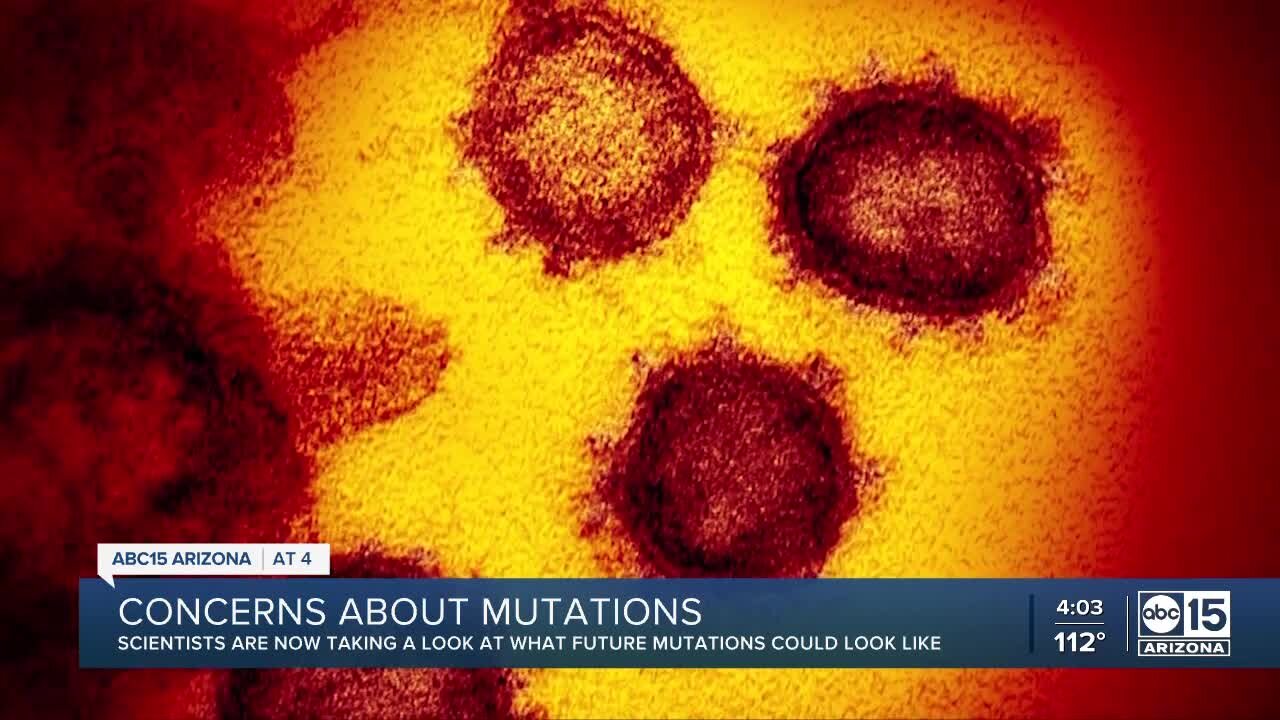 TGEN epidemiologist: More variants of COVID-19 likely