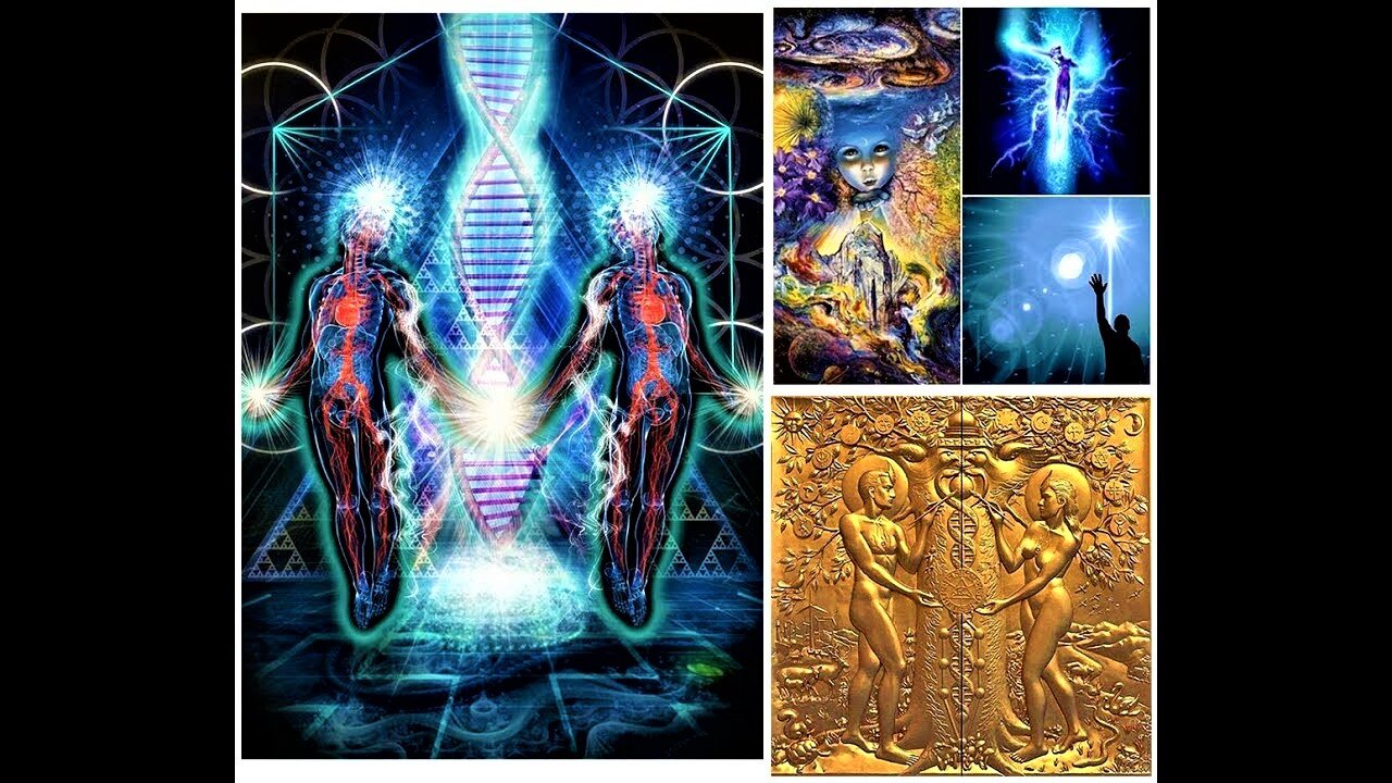 The Function Of The Cosmos Organics And The Connection To God