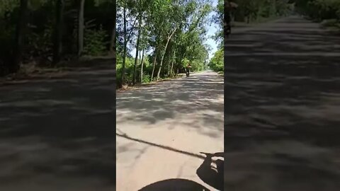 Phumi Peak Road #shorts #siemreap2022 #tourcambodia #angkorwat