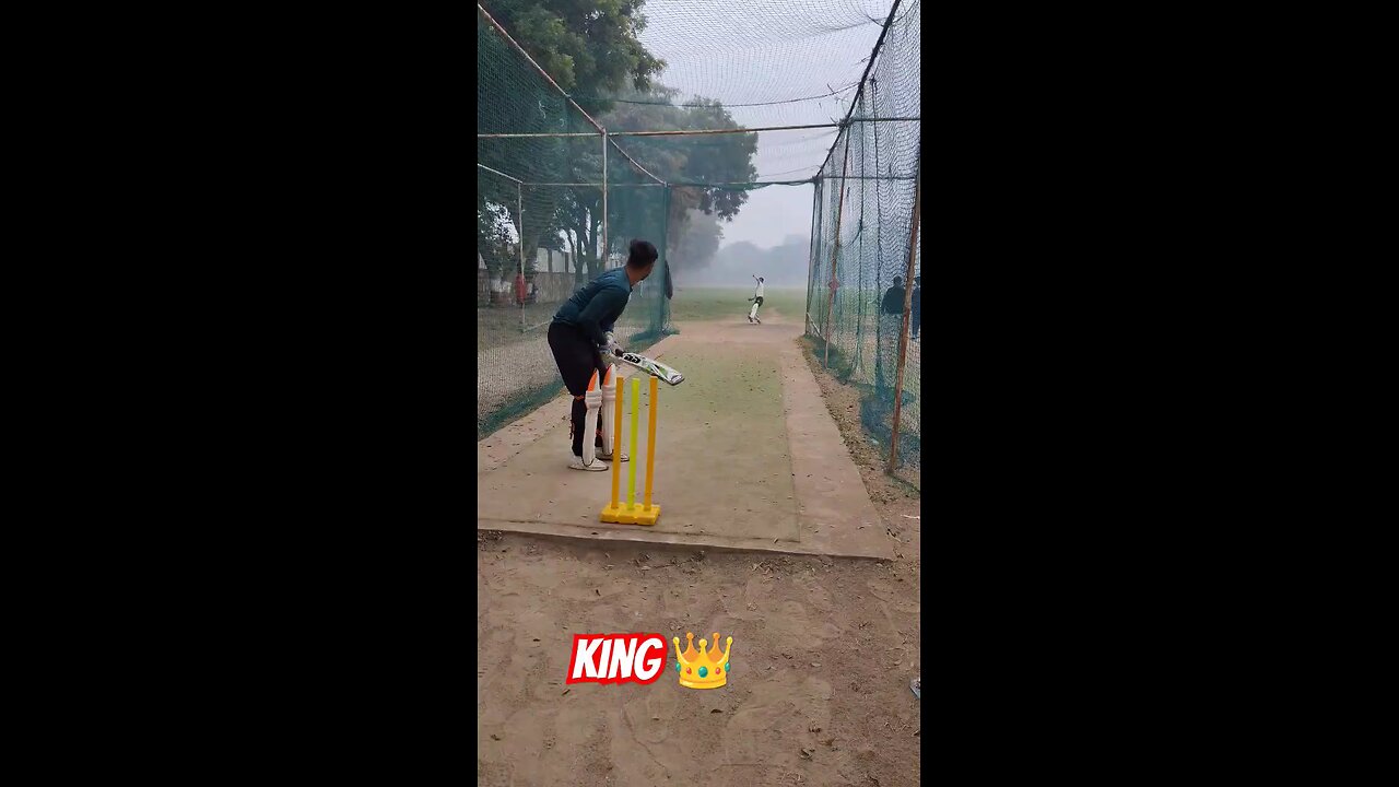 Cricket Shot Dhekho six Marne ka style