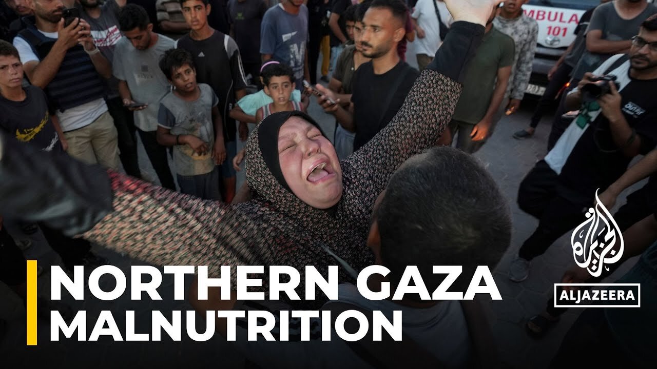 Palestinians in northern Gaza fear 'another wave of starvation'