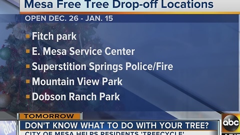 Taking down the tree? Here's where to recycle